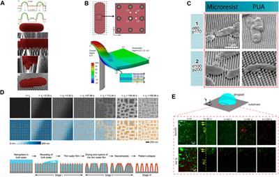 Antimicrobial mechanisms of nanopatterned surfaces—a developing story